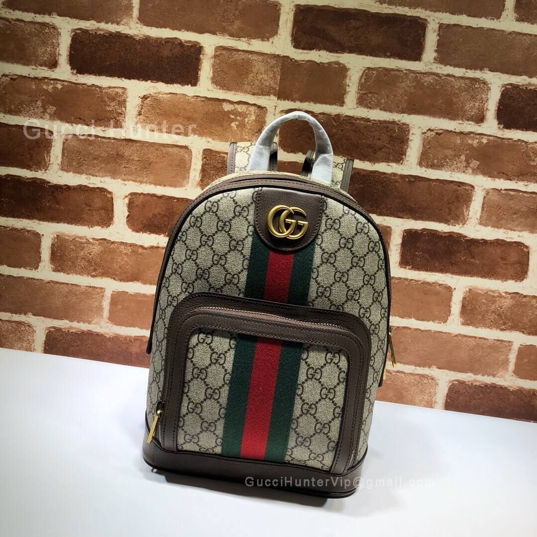 Gucci Ophidia GG Small Backpack Brown 547965